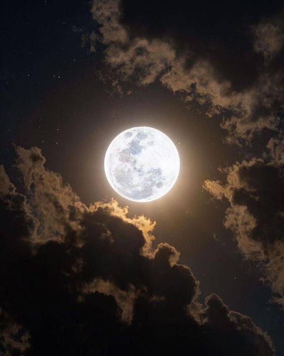 ZodiacNow_'s tweet photo. The Impact of the Full Moon on Our Lives https://t.co/RcXGdyfOxg 
🌕✨ Exploring the enigmatic influence of the full moon on our lives. From emotions to creativity, discover the lunar connection. 🌝🔮 #FullMoonMagic #LunarInfluence #ZodiacNow https://t.co/DoashT2mkr