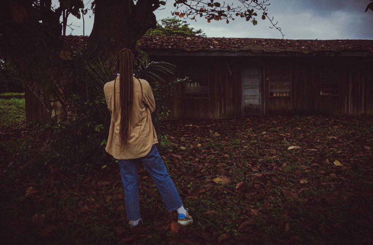 solocrea8s's tweet image. The Camera             📸          The Photos