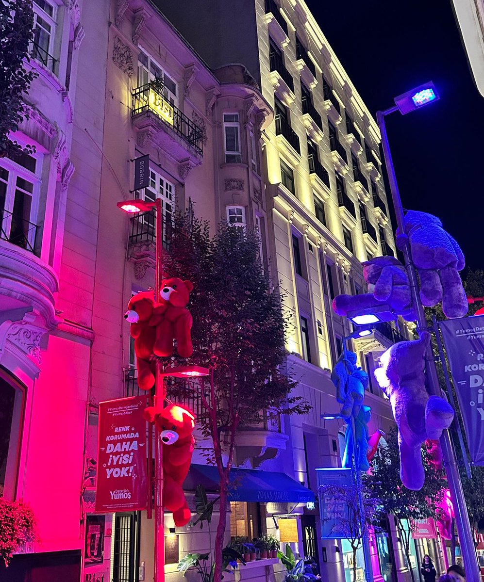 sillaviniaa's tweet photo. Öyle bi manitan olcak ki şu ayılardan bir tanesini yakalayıp al askim diyecek🧿🪬 https://t.co/hotjUO7Ri5