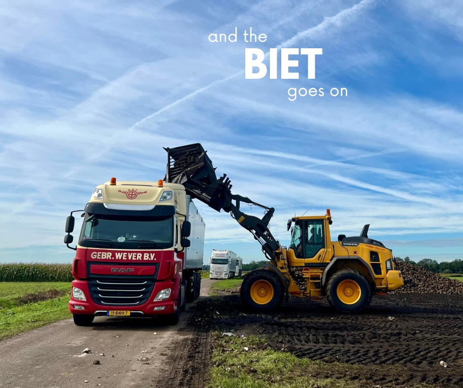 GebrWever's tweet photo. #bietencampagne #biet #bieten #wever #gebrwever @CosunBeetCo https://t.co/BkXe5PBsNj