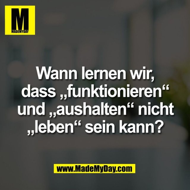 Made My Day (@mademydaycom) on Twitter photo 