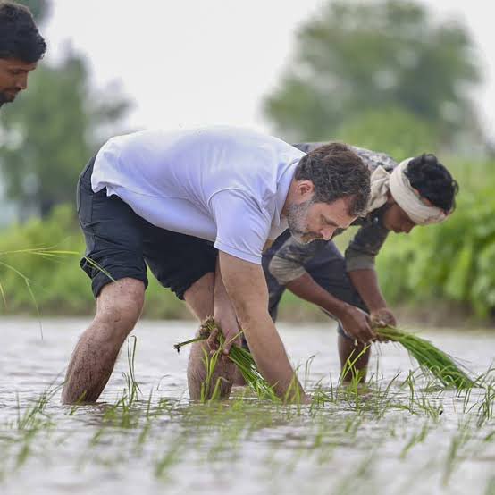 DelhiNiwasi's tweet image. It is difficult to be a man:

- His politics is not working 

- He is not married

- All he has his old mother, sister Pinki &amp;amp; #PIDIS in his life 

- Currently out of the jail on bail.  

- #RahulGandhi acting hard, but still, dumb is dump 

No Respect for him 🤓