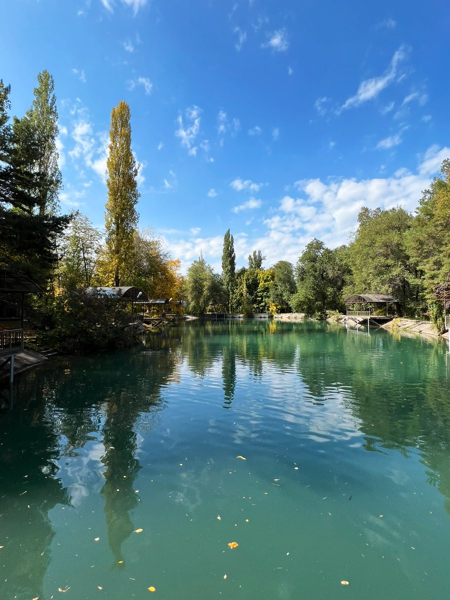 Алексей Башмаков tweet media