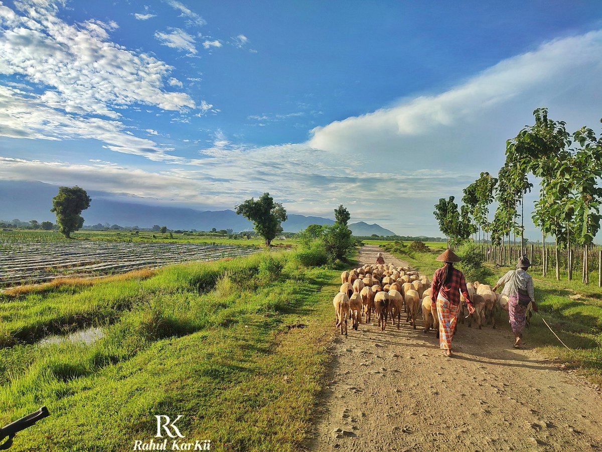 Rahul_Gonzalez7's tweet photo. Life is really simple,but we insist on making it Complicated.The key to find balance in modern life is Simplicity!
 #Mobilephotography #landscape
#Nature #NaturalBeauty #naturelovers #Travel #wanderlust #traveldestination  #travelinspiration #landscapephotography #landscapelovers https://t.co/1oekYGd8jl