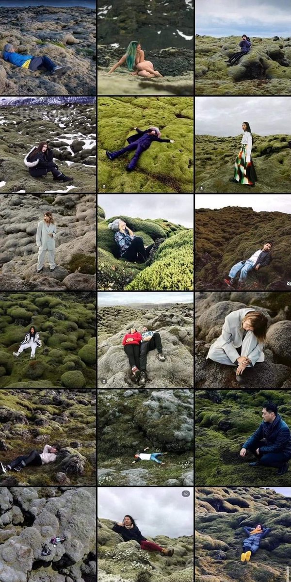 สรุป..ใครจะไปนั่ง ไปยืน ไปนอน ถ่ายรูปที่ทุ่ง #มอสลาวา #Iceland ก็ได้ ยกเว้นคุณ #หมอพรทิพย์ ⁉️