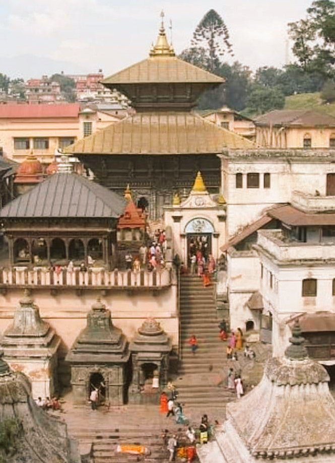 Sonali_S2's tweet photo. नेपाल के पशुपतिनाथ मंदिर की है अलौकिक रहस्य ?

आप नेपाल घुमने जाते हैं तो आपको वहां जाकर इस बात का बिल्कुल भी एहसास नहीं होगा कि आप एक अलग देश में हैं। कुछ भारत जैसी संस्कृति और संस्कारों को देखकर आप आश्चर्यचकित जरुर हो जायेंगे। आप अगर शिव भगवान के भक्त हैं तो आपको एक बार नेपाल स्थित भगवान शिव का पशुपतिनाथ मंदिर जरूर जाना चाहिए।
नेपाल में भगवान शिव का पशुपतिनाथ मंदिर विश्वभर में विख्यात है। इसका असाधारण महत्त्व भारत के अमरनाथ व केदारनाथ से किसी भी प्रकार कम नहीं है। पशुपतिनाथ मंदिर नेपाल की राजधानी काठमांडू से तीन किलोमीटर उत्तर-पश्चिम देवपाटन गांव में बागमती नदी के तट पर स्थित है।
यह मंदिर भगवान शिव के पशुपति स्वरूप को समर्पित है। यूनेस्को विश्व सांस्कृतिक विरासत स्थल की सूची में शामिल भगवान पशुपतिनाथ का मंदिर नेपाल में शिव का सबसे पवित्र मंदिर माना जाता है।
यह मंदिर हिन्दू धर्म के आठ सबसे पवित्र स्थलों में से एक है। नेपाल में यह भगवान शिव का सबसे पवित्र मंदिर है। इस अंतर्राष्ट्रीय तीर्थ के दर्शन के लिए भारत के ही नहीं, अपितु विदेशों के भी असंख्य यात्री और पर्यटक काठमांडू पहुंचते हैं।
पौराणिक कथा के अनुसार भगवान शिव यहां पर चिंकारे का रूप धारण कर निद्रा में चले बैठे थे। जब देवताओं ने उन्हें खोजा और उन्हें वाराणसी वापस लाने का प्रयास किया तो उन्होंने नदी के दूसरे किनारे पर छलांग लगा दी। कहा जाता हैं इस दौरान उनका सींग चार टुकडों में टूट गया था। इसके बाद भगवान पशुपति चतुर्मुख लिंग के रूप में यहाँ प्रकट हुए थे।
पशुपतिनाथ लिंग विग्रह में चार दिशाओं में चार मुख और ऊपरी भाग में पांचवां मुख है। प्रत्येक मुखाकृति के दाएं हाथ में रुद्राक्ष की माला और बाएं हाथ में कमंडल है। प्रत्येक मुख अलग-अलग गुण प्रकट करता है। पहला मुख 'अघोर' मुख है, जो दक्षिण की ओर है। पूर्व मुख को 'तत्पुरुष' कहते हैं। उत्तर मुख 'अर्धनारीश्वर' रूप है। पश्चिमी मुख को 'सद्योजात' कहा जाता है। ऊपरी भाग 'ईशान' मुख के नाम से पुकारा जाता है। यह निराकार मुख है। यही भगवान पशुपतिनाथ का श्रेष्ठतम मुख माना जाता है।
इतिहास को देखने पर ज्ञात होता है कि पशुपतिनाथ मंदिर में भगवान की सेवा करने के लिए 1747 से ही नेपाल के राजाओं ने भारतीय ब्राह्मणों को आमंत्रित किया है। इसके पीछे यह तथ्य बताये जाते हैं कि भारतीय ब्राह्माण हिन्दू धर्मशास्त्रों और रीतियों में ज्यादा पारंगत होते हैं। बाद में 'माल्ला राजवंश' के एक राजा ने दक्षिण भारतीय ब्राह्मण को ‘पशुपतिनाथ मंदिर’ का प्रधान पुरोहित नियुक्त किया। दक्षिण भारतीय भट्ट ब्राह्मण ही इस मंदिर के प्रधान पुजारी नियुक्त होते रहे हैं।
मंदिर के निर्माण का कोई प्रमाणित इतिहास तो नहीं है किन्तु कुछ जगह पर यह जरुर लिखा गया है कि मंदिर का निर्माण सोमदेव राजवंश के पशुप्रेक्ष ने तीसरी सदी ईसा पूर्व में कराया था।
कुछ इतिहासकार पाशुपत सम्प्रदाय को इस मंदिर की स्थापना से जुड़ा मानते हैं। पशुपति काठमांडू घाटी के प्राचीन शासकों के अधिष्ठाता देवता रहे हैं। 605 ईस्वी में अमशुवर्मन ने भगवान के चरण छूकर अपने को अनुग्रहीत माना था। बाद में मध्य युग तक मंदिर की कई नकलों का निर्माण कर लिया गया। ऐसे मंदिरों में भक्तपुर (1480), ललितपुर (1566) और बनारस (19वीं शताब्दी के प्रारंभ में) शामिल हैं। मूल मंदिर कई बार नष्ट हुआ है। इसे वर्तमान स्वरूप नरेश भूपलेंद्र मल्ला ने 1697 में प्रदान किया।
मंदिर की आध्यात्मिक शक्ति की चर्चाआसपास में काफी प्रचलित है। भारत समेत कई देशों से लोग यहाँ आध्यात्मिक शांति की तलाश में आते हैं। अगर आप भी भगवान शिव के दर्शनों के अभिलाषी हैं तो यहाँ साफ़ और छल रहित दिल से आकर, आप शिव के दर्शन कर सकते हैं।
मंदिर की महिमा के बारे में आसपास के लोगों से आप काफी कहानियां भी सुन सकते हैं। मंदिर में अगर कोई घंटा-आधा घंटा ध्यान करता है तो वह जीव कई प्रकार की समस्याओं से मुक्त भी हो जाता है।

ॐ नमः शिवाय 🚩 🙏