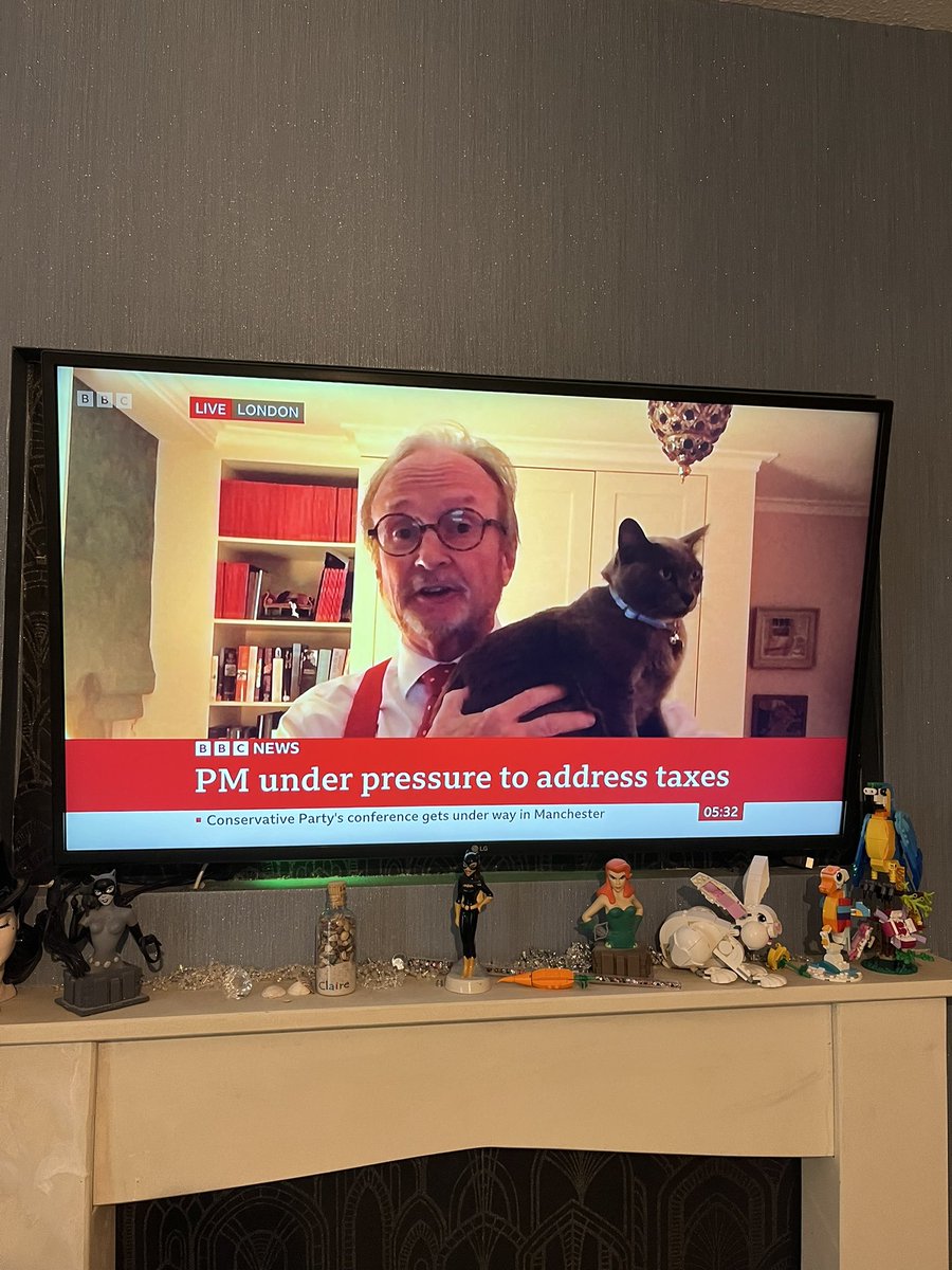 babsbat's tweet photo. @BBCNews  love Betty . https://t.co/Sjg3MmJUOv