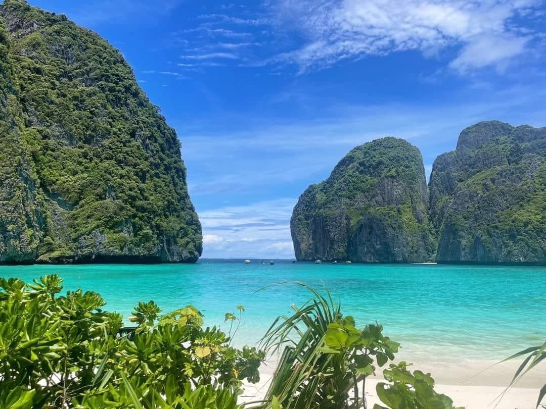 Tatnews_Org's tweet photo. 🇹🇭 PRESS RELEASE: Krabi’s world famous Maya Bay reopened to the public yesterday (1 October 2023), after two-month of annual closure for natural rejuvenation.

📷 Photo credit: Department of National Parks

#Thailand #ThaiTravelNews https://t.co/gu9UIjahDW