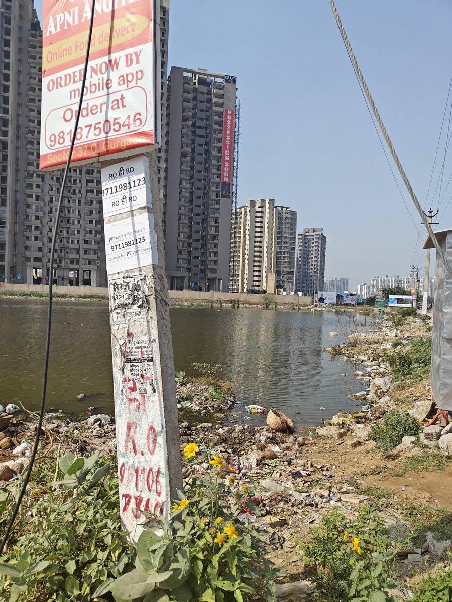 Rajiv Grover (@rajivgrover70) on Twitter photo This is the current situation as on today. Sector 37-C)D Road, Gurugram #Gurgaon #gurugram <a href="/OfficialGMDA/">GMDA</a> <a href="/bansal_dhanraj/">Dhan Raj Bansal धनराज बंसल (मोदी का परिवार)</a> <a href="/cmohry/">CMO Haryana</a> <a href="/DEEPAKKAHUJA/">DEEPAK AHUJA</a> <a href="/rakeshdaultabad/">MLA Rakesh Daultabad</a> <a href="/Truth070707/">Digital-INDIA</a> This is the current situation as on today. Sector 37-C)D Road, Gurugram #Gurgaon #gurugram <a href="/OfficialGMDA/">GMDA</a> <a href="/bansal_dhanraj/">Dhan Raj Bansal धनराज बंसल (मोदी का परिवार)</a> <a href="/cmohry/">CMO Haryana</a> <a href="/DEEPAKKAHUJA/">DEEPAK AHUJA</a> <a href="/rakeshdaultabad/">MLA Rakesh Daultabad</a> <a href="/Truth070707/">Digital-INDIA</a>