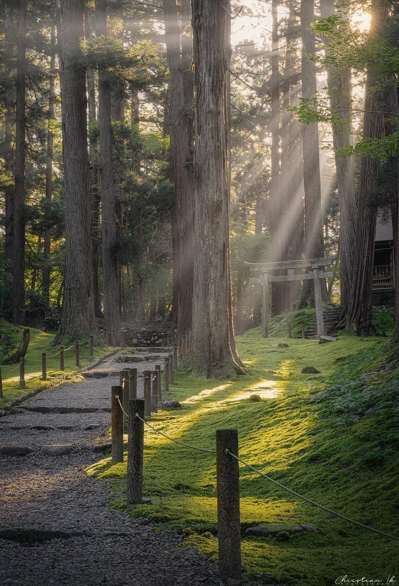 A Beautiful morning in Heiseiji ✨