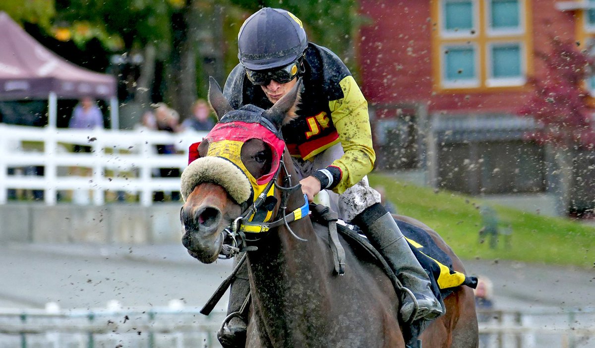frocan's tweet image. Bellaroo loves to run! She gave it her all today. This gal sure knows how to hit the board consistently! Thank you Michael Bye for this photo.