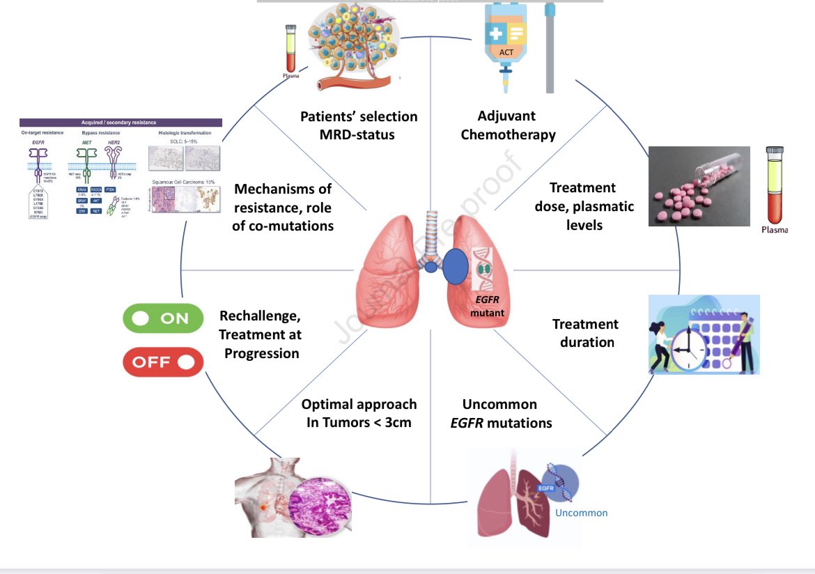 ADJ Osi is SoC in resected EGFRmut 🧬NSCLC, but: -What is the role of Minimal Residual disease? -Do we need ADJ chemo🧪? -Can we ⬇️dose of Osi? -Treatment duration? Some answers: doi.org/10.1016/j.jtho… Thanks: @stephanieplsaw @FCortiula @JessicaMenis @g_mountzios @HendriksLizza