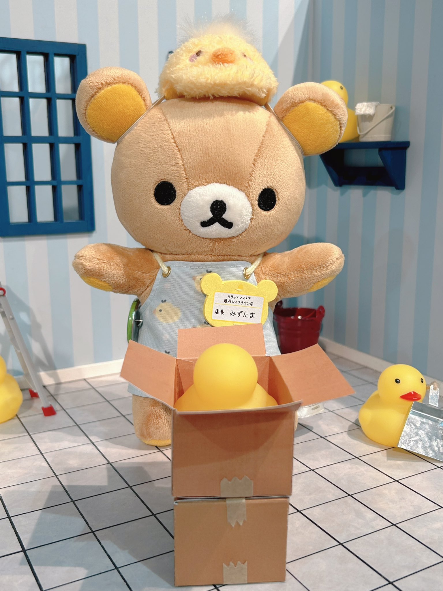 キイロイトリのどれーちゃん on X: 