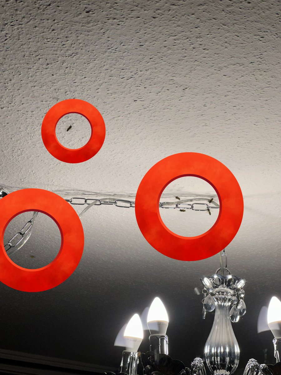 Ich hab ein paar Wespen zum Kaffee eingeladen. Den war kalt.
Start des Streams verzögert sich einen Moment 🫠