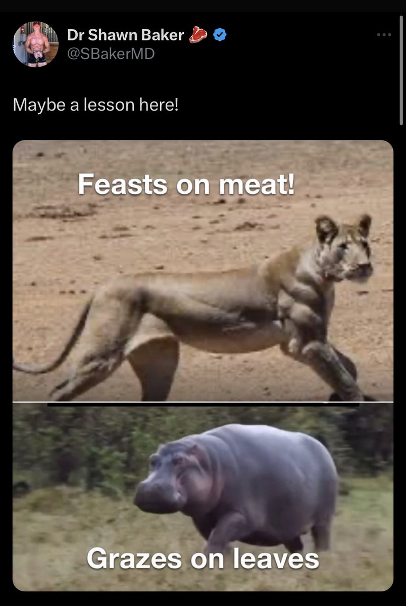 Lions generally avoid direct confrontation with hippos. Because they are *a lot* weaker.

Hippos are a walking death machine that WILL kill.