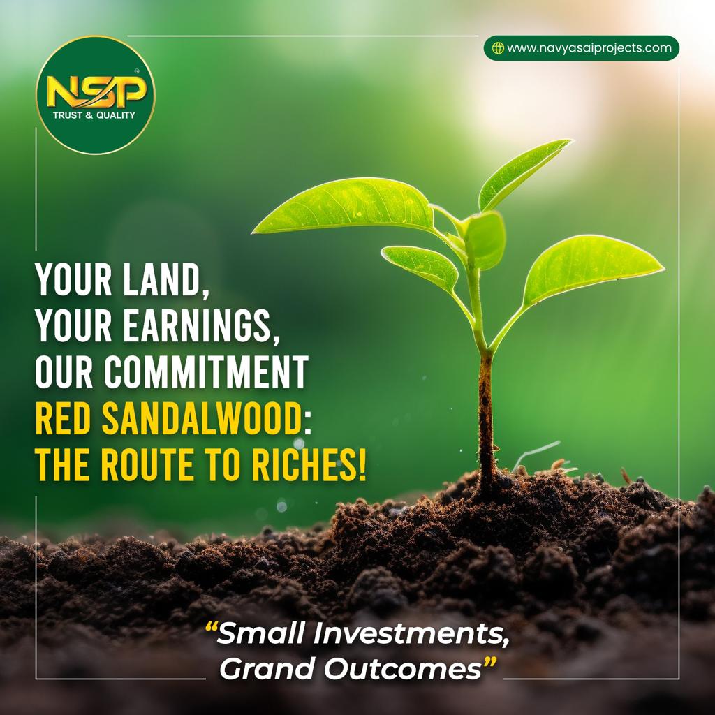 RaghuBarlaguru's tweet image. Enlightenment Your Future By Joining Hands WiTh NSP 💚🤝
Call : 8143525343
#raghubarla #navyasaiprojects
#raghubarlaguru #navyasaiprojectspvtltd #rbggroup #vijayawada #RealEstate