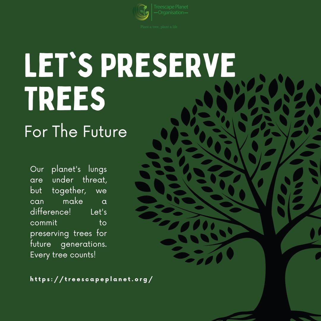 TreescapeOrg's tweet photo. 𝗛𝗲𝗿𝗲’𝘀 𝘆𝗼𝘂𝗿 𝘄𝗲𝗲𝗸𝗹𝘆 𝗿𝗲𝗺𝗶𝗻𝗱𝗲𝗿 𝘁𝗼 𝗽𝗿𝗼𝘁𝗲𝗰𝘁 𝗼𝘂𝗿 𝗲𝗻𝘃𝗶𝗿𝗼𝗻𝗺𝗲𝗻𝘁:

Plant a tree, Plant a life!🌱🌳 
Join us in our tree-planting initiatives this Preservation and Conservation Month. Together, we can ensure a greener future. 
#TreePlanting https://t.co/YxJHdhvAS0