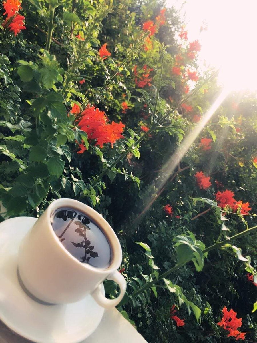 《إن الى ربك الرجعى》♡أمةالله ♡ (@muhamd20m) on Twitter photo لا أحد يذكر شخصًا في دعائه إلا وقد صدق حبَّه..
أن يُثني أحدهم ركبتيه فى خلوته، ويرفع يديه متضرعًا لله، ويُرسل اسمك أنت بالتحديد إلى الله عز وجل مرتبطًا بأمنيات ودعوات صالحة لك، هذه إحدى أعظم صور الحب في نظري ! 🥹 لا أحد يذكر شخصًا في دعائه إلا وقد صدق حبَّه..
أن يُثني أحدهم ركبتيه فى خلوته، ويرفع يديه متضرعًا لله، ويُرسل اسمك أنت بالتحديد إلى الله عز وجل مرتبطًا بأمنيات ودعوات صالحة لك، هذه إحدى أعظم صور الحب في نظري ! 🥹