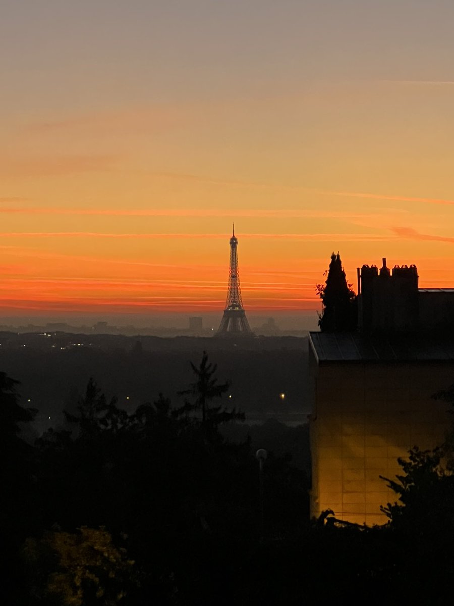 Ana-Maria De Araujo 🌿 tweet media