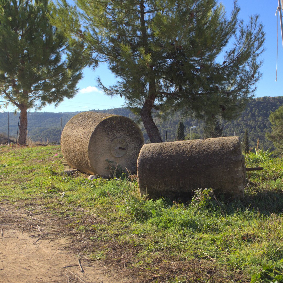 olicatessen's tweet photo. Racons de Els Torms
-
Rincones en #elstorms
-
Hideouts of Els Torms

#racons_de_lleida #monrural #turismeslow #visitarural #familiar #experienciarural #aralleida #somagricultors #somdepoble #micropoble #pobles_de_catalunya https://t.co/l7sZKZGgrt
