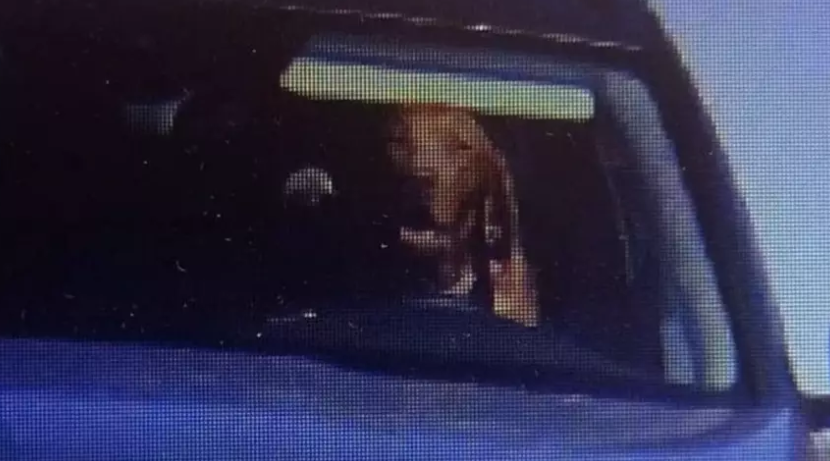 Dog caught on speed camera in Slovakia. He was doing 'ruffly' 80 miles an hour. #wtf #dogslife @MartynEwart @BoogsTweets