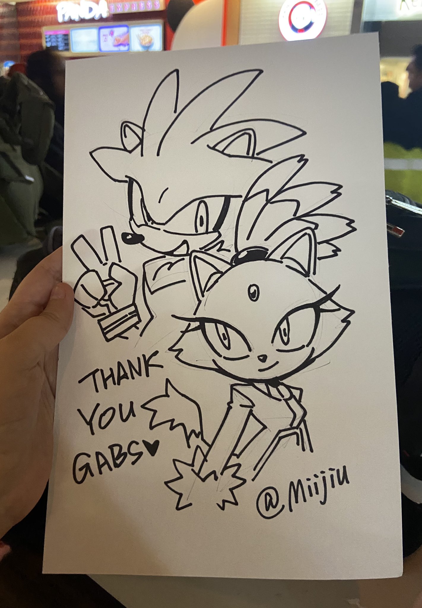 shadow the hedgehog and silver the hedgehog (sonic) drawn by miijiu