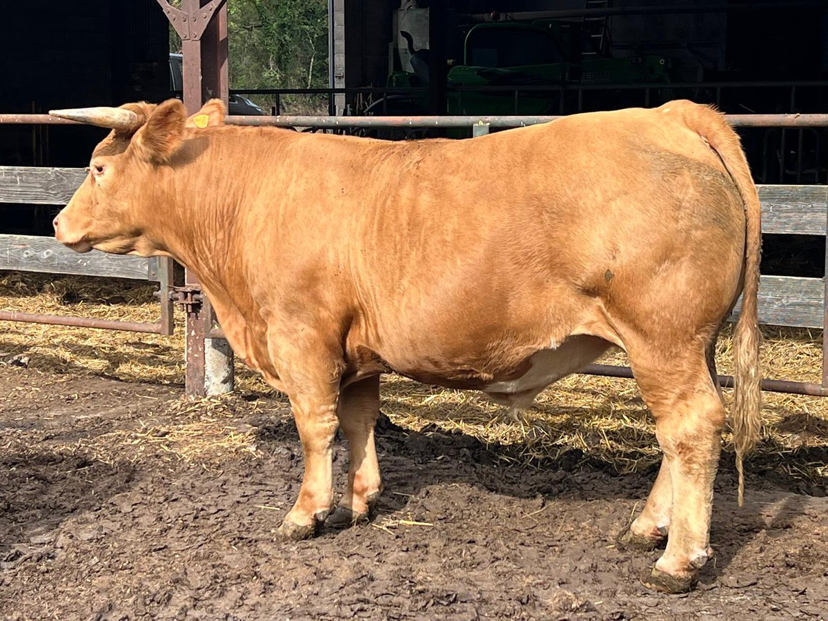 Regardes de là haut…
528,6 kg 
35 mois
U=3