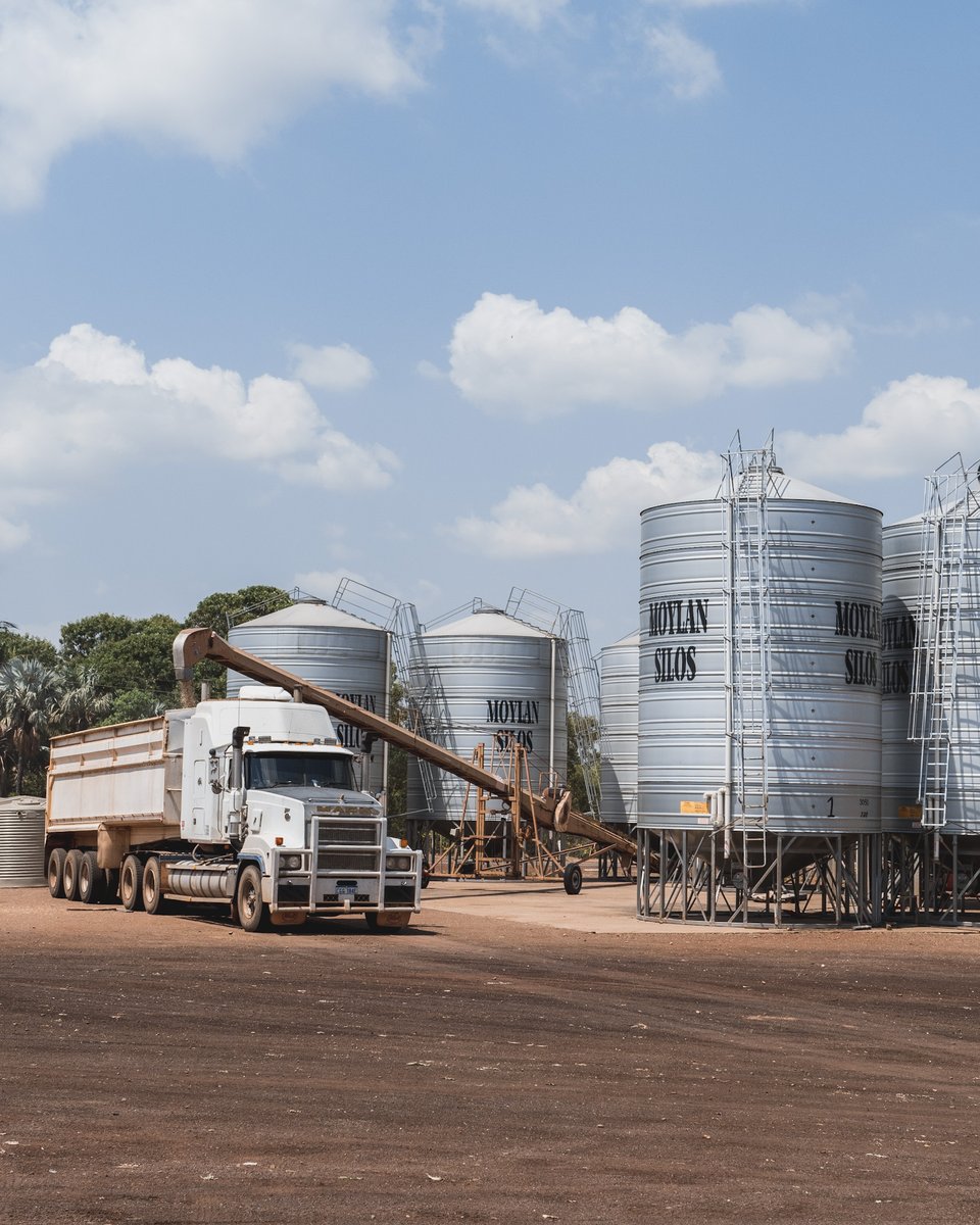PLEASE GIVE WAY AND EXERCISE CAUTION 
As the grain season starts up again here at ORDCO, please be mindful of the large vehicles in and around the property. We kindly ask that you give way, drive slow and exercise caution. 
#ORDCO #KununurraWA #Kimberley #WesternAustralia