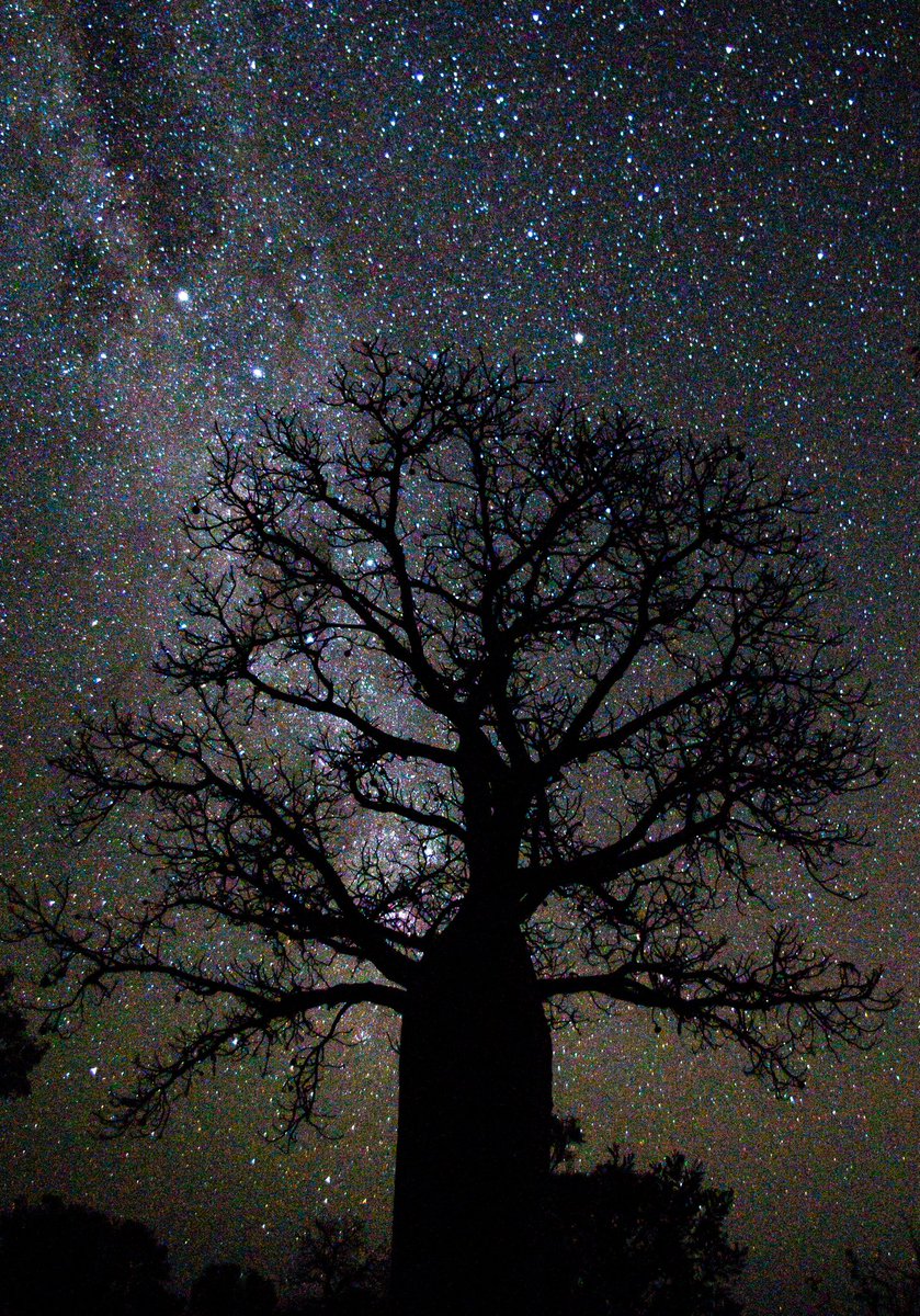 The #nightsky in the #Kimberly is magnificent. #thisiswa