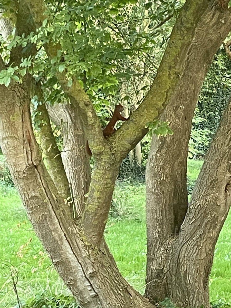 Jimothy Halpert tweet media