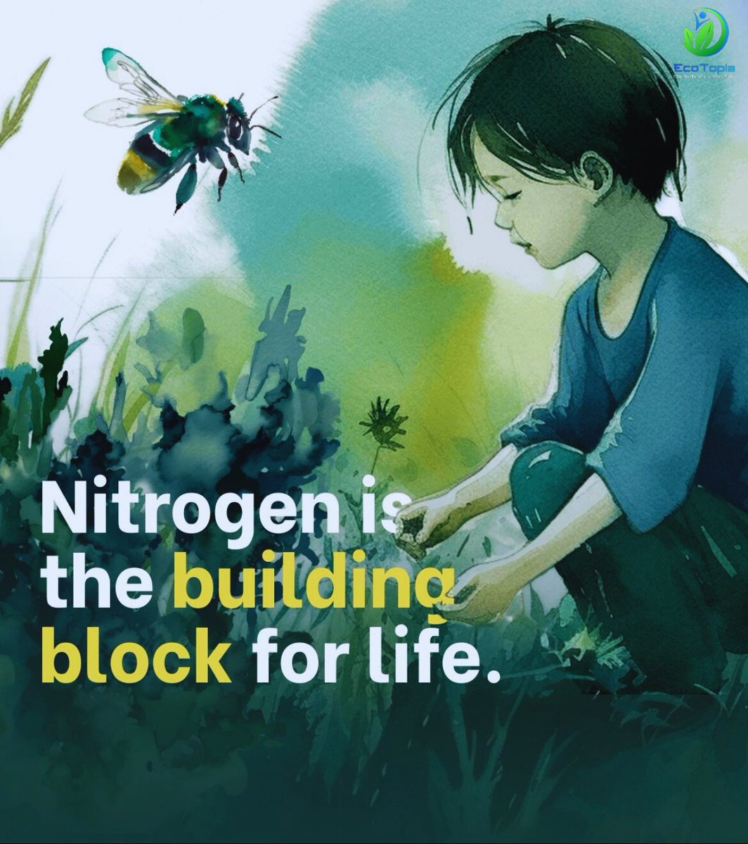ecotopiabd's tweet photo. 🌍 Nitrogen: Vital for life, but excess production harms our planet. 200M tonnes lost yearly. Let's invest in sustainable nitrogen management. 🌾💧 #BeatNitrogenPollution #GlobalGoals 🌎✨ https://t.co/lu1RnKaHLg