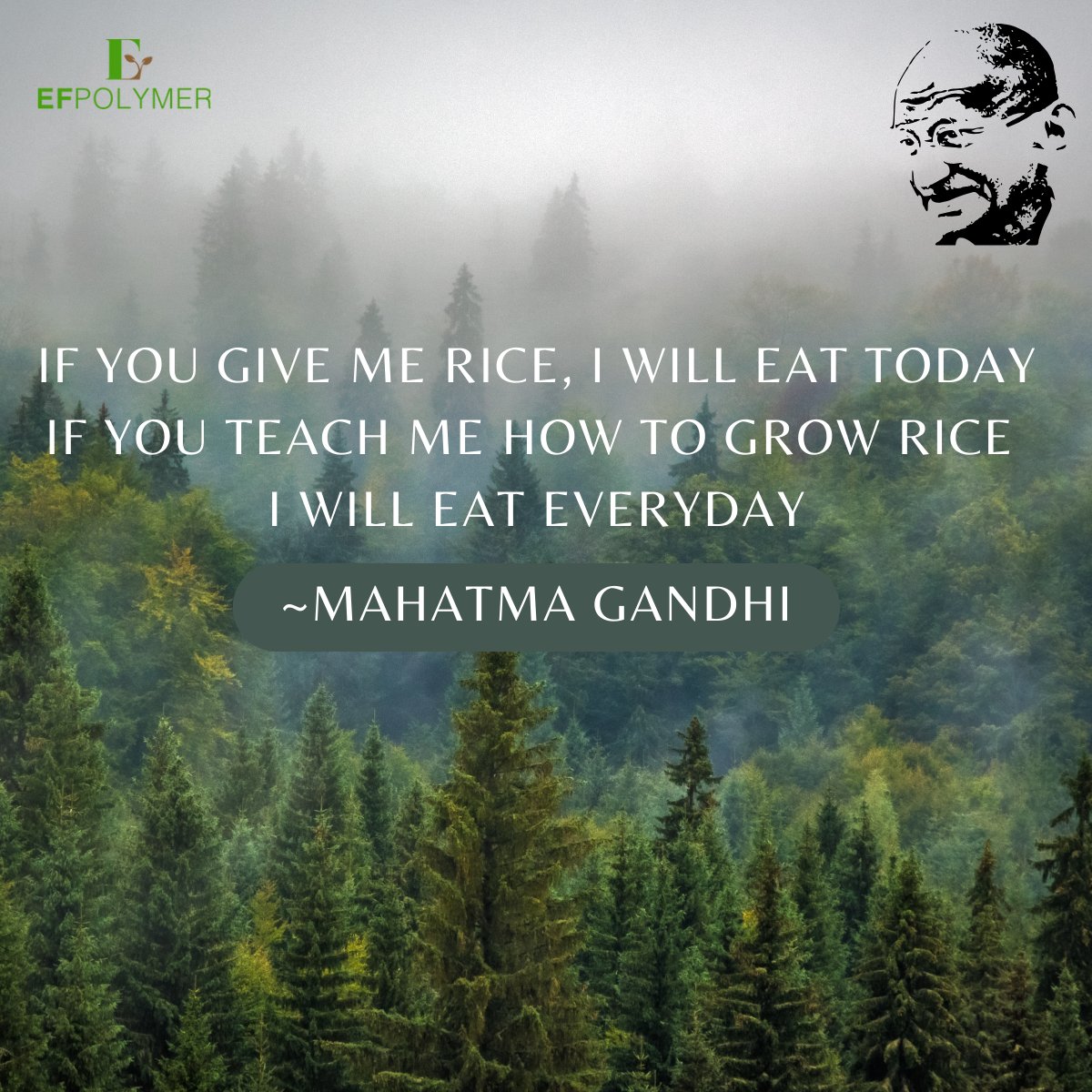 jainankit_'s tweet photo. Discover how Mahatma Gandhi Ji's timeless wisdom in agriculture during droughts continues to inspire smart choices, community support, and kindness in today's world. Let's honor his legacy and help our farmers thrive! 🌾🌧️✨ #MahatmaGandhi #SmartFarming #CommunitySupport https://t.co/4dTrwGvSVg