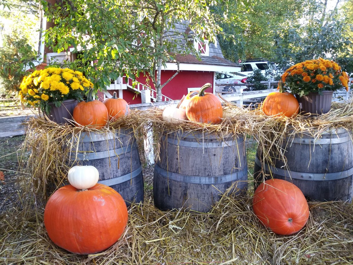 VanCity_Chic's tweet photo. Richmond Country Farm Festival 🌞🎃🌻🌾 on Steveston Hwy @RichCountryFarm https://t.co/NQOxtV3xM0 https://t.co/QCxe5FhKsn