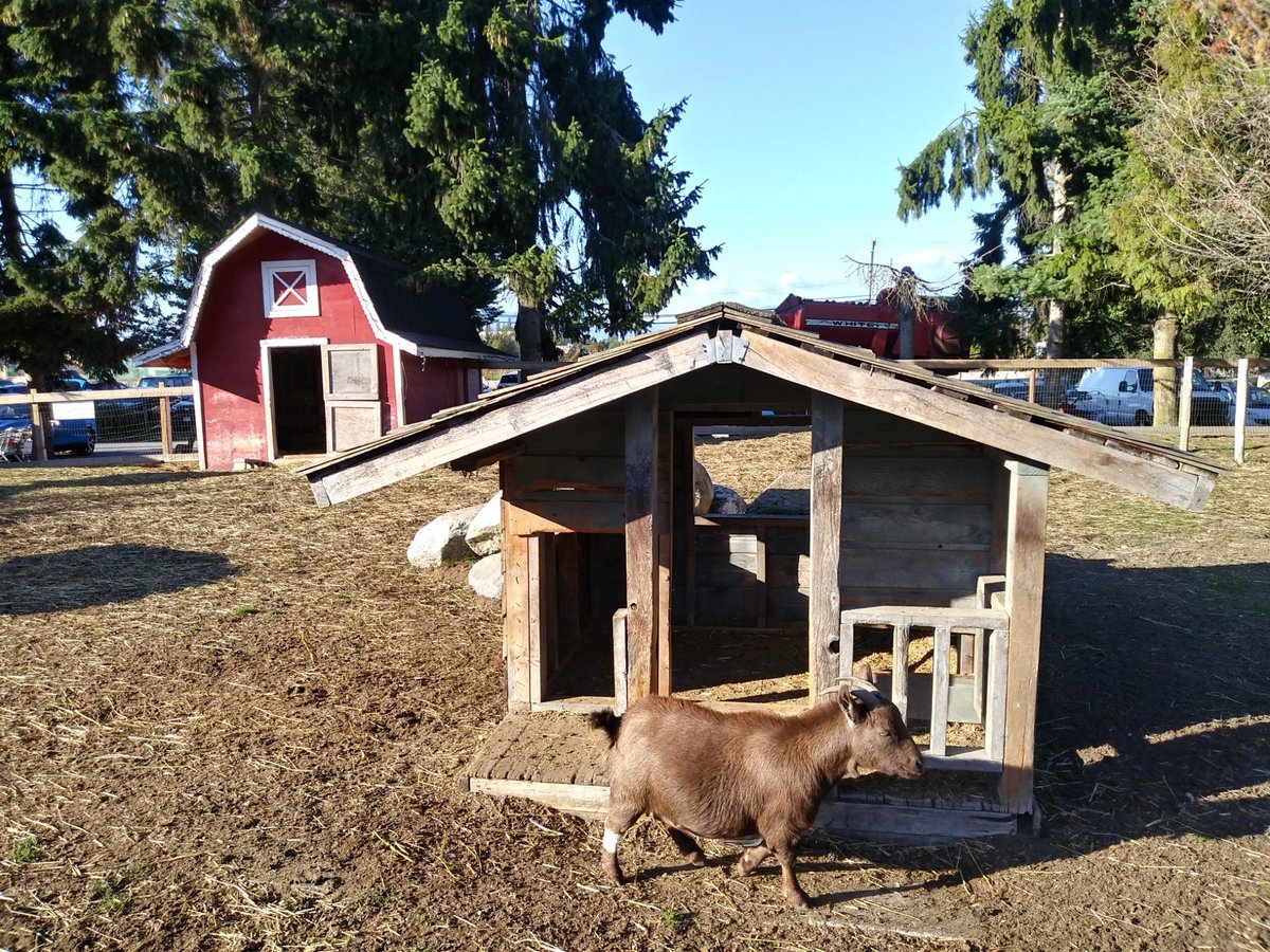 VanCity_Chic's tweet photo. Richmond Country Farm Festival 🌞🎃🌻🌾 on Steveston Hwy @RichCountryFarm https://t.co/NQOxtV3xM0 https://t.co/QCxe5FhKsn