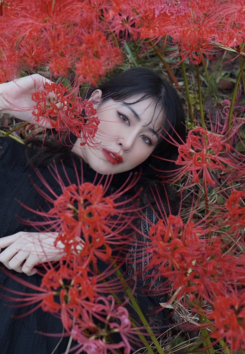 KunNickko's tweet photo. 彼岸花の花言葉は「悲しき思い出」「情熱」だ。
だから大分好きと思う... 
何か情熱やつをとても思い出している、だが失った。🖤

#彼岸花  #彼岸花が好き
#ポートレートモデル #ポートレート好きな人と繋がりたい https://t.co/KJVzXhdmZm