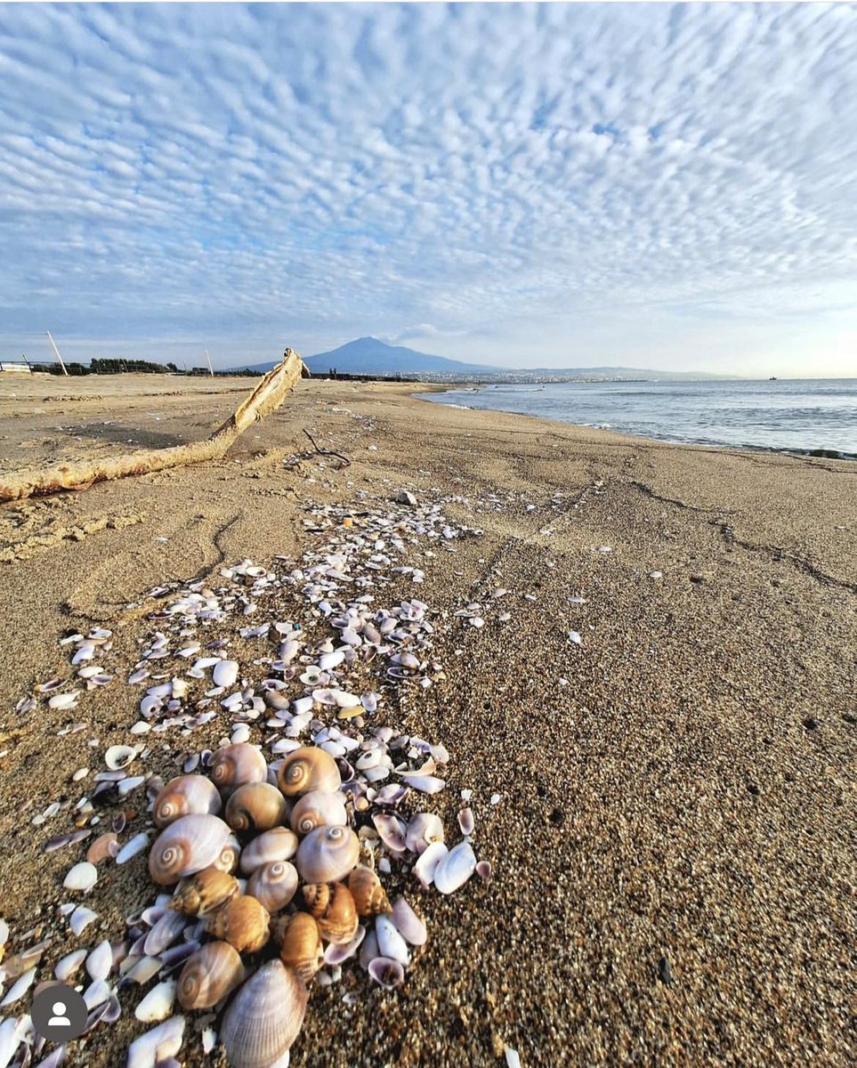VisitSicilyOP's tweet photo. Sand, Sea, and Sky 

Good Morning from #Catania  

📷 JateisBack

#visitsicilyinfo #sicily #sicilia #beaches https://t.co/oV9wrKAELo