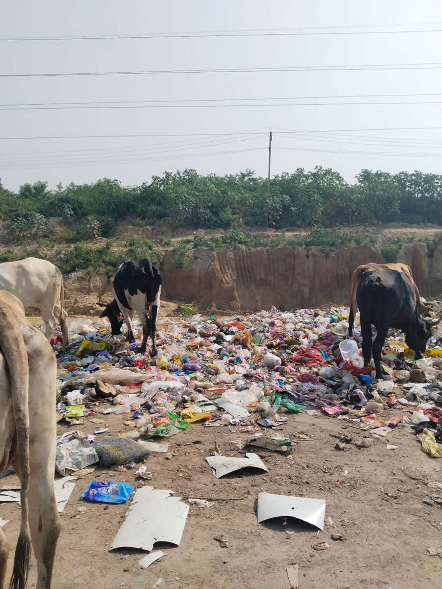 swasavana's tweet photo. @cmohry @PMOIndia @mlkhattar @rajeshnagarfbd @KPGBJP @MCF_Faridabad @smartcityfbd @aajtak @DiprHaryana @BJP4Haryana  Glimpse of “Smart City Faridabad” near Sec 29 Bridge towards Greater Faridabad. Area is full of Garbage, No action from Authorities. https://t.co/nwe5gbBKx8