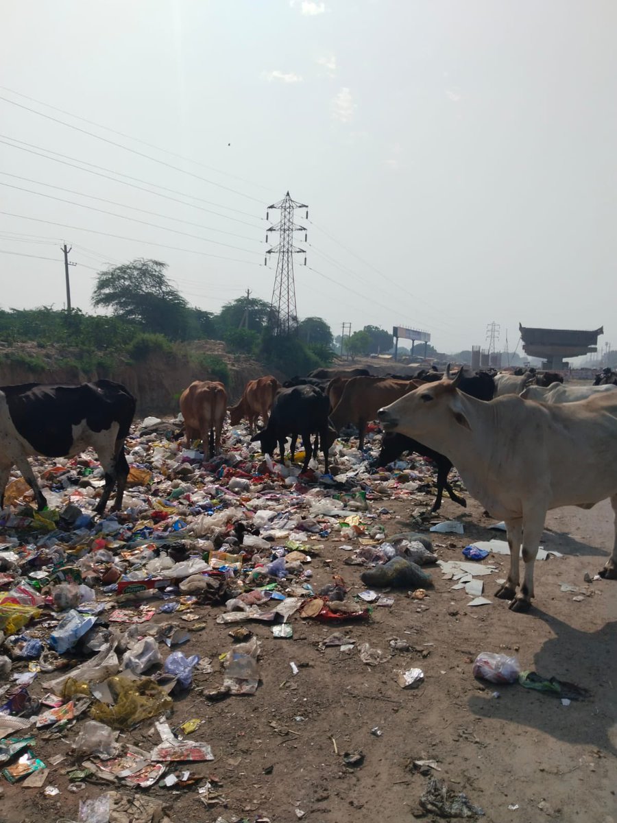 swasavana's tweet photo. @cmohry @PMOIndia @mlkhattar @rajeshnagarfbd @KPGBJP @MCF_Faridabad @smartcityfbd @aajtak @DiprHaryana @BJP4Haryana  Glimpse of “Smart City Faridabad” near Sec 29 Bridge towards Greater Faridabad. Area is full of Garbage, No action from Authorities. https://t.co/nwe5gbBKx8