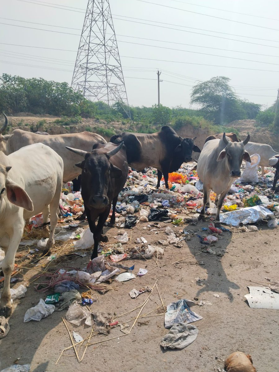 <a href="/cmohry/">CMO Haryana</a> <a href="/PMOIndia/">PMO India</a> <a href="/mlkhattar/">Manohar Lal</a> <a href="/rajeshnagarfbd/">Minister Rajesh Nagar</a> <a href="/KPGBJP/">Krishan Pal Gurjar</a> <a href="/MCF_Faridabad/">Municipal Corporation of Faridabad</a> <a href="/smartcityfbd/">Smart City Faridabad</a> <a href="/aajtak/">AajTak</a> <a href="/DiprHaryana/">DPR Haryana</a> <a href="/BJP4Haryana/">Haryana BJP</a>  Glimpse of “Smart City Faridabad” near Sec 29 Bridge towards Greater Faridabad. Area is full of Garbage, No action from Authorities.