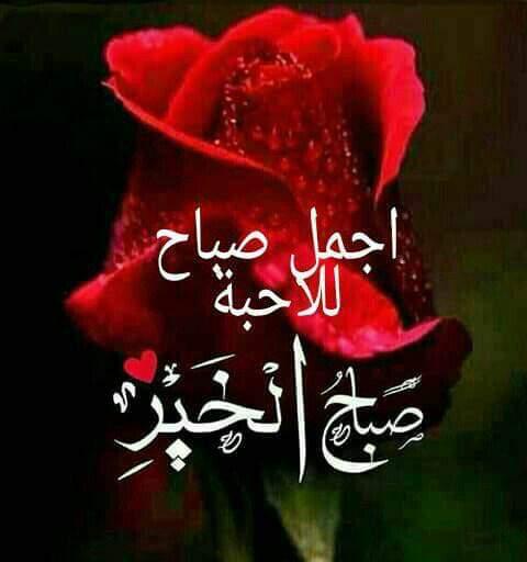 abuo ahmed (@abuoahmed5) on Twitter photo 