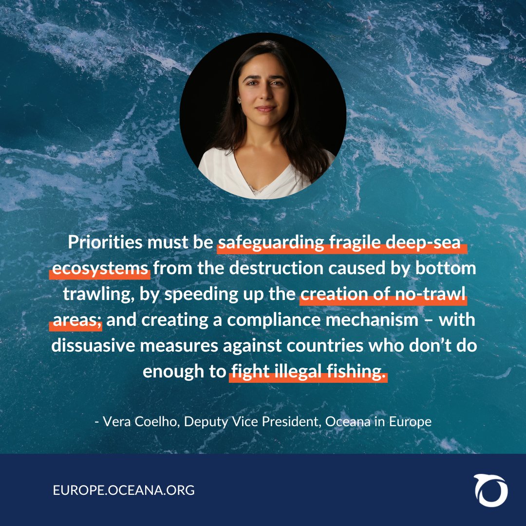 OceanaEurope's tweet image. As fisheries ministers meet for #MedFish4Ever, our analysis reveals that they have achieved less than half of their commitments to save #Mediterranean fish stocks and restore ecosystems. 🪸 They must urgently act to turn the situation around!

Read more: bit.ly/3rvQsUl👈