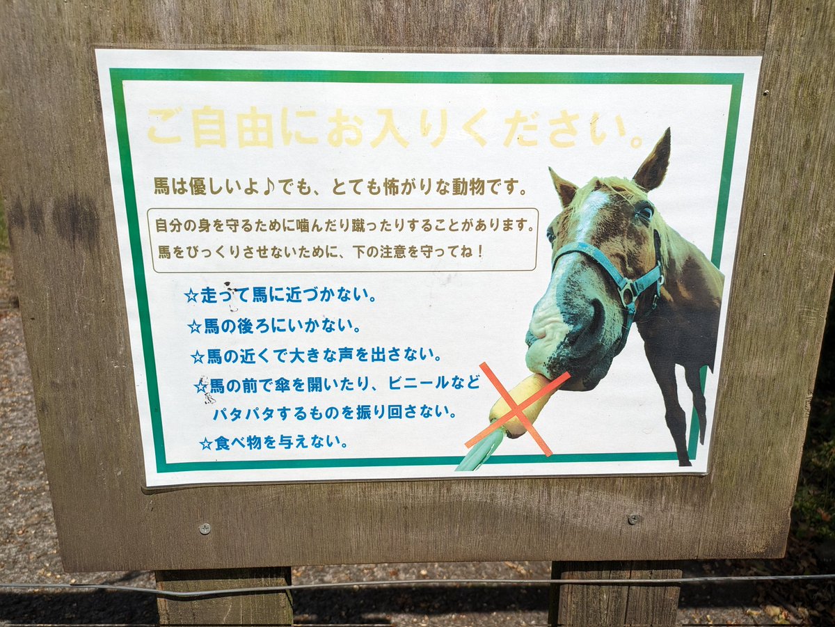 puffer_KMI's tweet photo. ふれあい牧場に行くつもりが月曜休みだったので、養老牧場へ。
放牧地で気ままに過ごす養老馬たちを、とても尊く感じた。
そして、併設する乗馬クラブでひき馬体験も。
次は、トレッキング体験コースを予約していきたい!
#HORSETRUST
#ホーストラスト
#霧島アート牧場
#鹿児島県姶良郡
#湧水町 https://t.co/wPiQJWMn6T