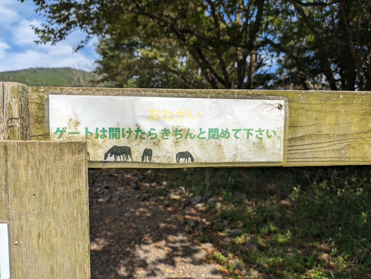 puffer_KMI's tweet photo. ふれあい牧場に行くつもりが月曜休みだったので、養老牧場へ。
放牧地で気ままに過ごす養老馬たちを、とても尊く感じた。
そして、併設する乗馬クラブでひき馬体験も。
次は、トレッキング体験コースを予約していきたい!
#HORSETRUST
#ホーストラスト
#霧島アート牧場
#鹿児島県姶良郡
#湧水町 https://t.co/wPiQJWMn6T
