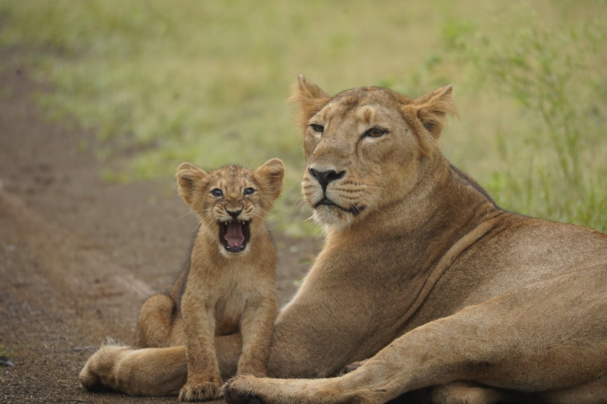 prashant Tomar tweet media