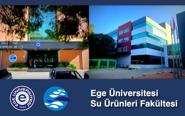 Sevgili öğrencilerimize, başarılarla dolu bir eğitim-öğretim yılı dileriz..... #İyiKiEgeliyiz