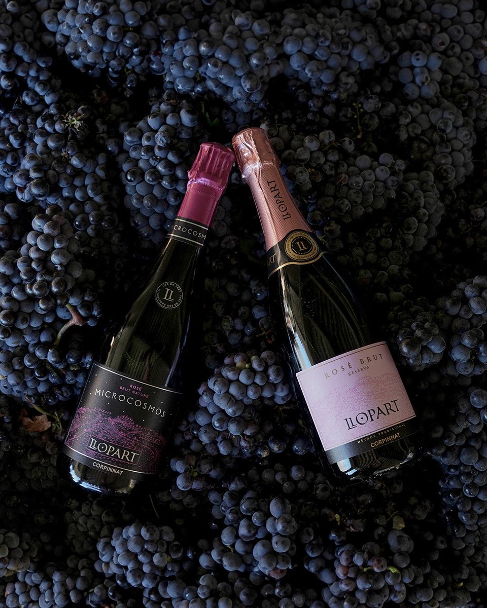 Llopart1887's tweet image. A cada bombolla dels nostres escumosos trobem una ferma defensa del mètode tradicional i de l’artesania del vi, amb respecte per la sostenibilitat i buscant l’autenticitat de les llargues criances.

#llopart1887 #microcosmos