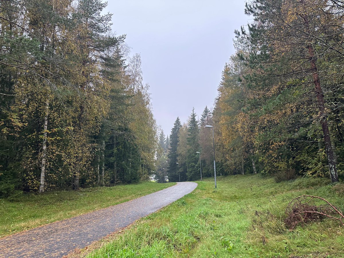 SwedenDiaries's tweet photo. During the winter season in Umeå, Sweden, you can capture the enchanting beauty of snowy landscapes and evergreen trees.
#umea  #winter
#umeawinter #photography#naturephotography  #SereneCity 
 #NaturalBeauty #LakeCityVibes #travelgoals #exploretheworld #travelmore #swedendiaries https://t.co/5FV7zRP95C