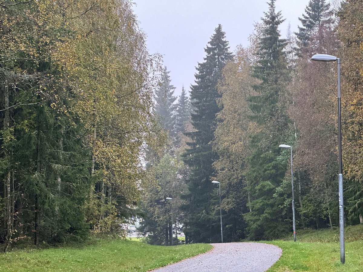 SwedenDiaries's tweet photo. During the winter season in Umeå, Sweden, you can capture the enchanting beauty of snowy landscapes and evergreen trees.
#umea  #winter
#umeawinter #photography#naturephotography  #SereneCity 
 #NaturalBeauty #LakeCityVibes #travelgoals #exploretheworld #travelmore #swedendiaries https://t.co/5FV7zRP95C