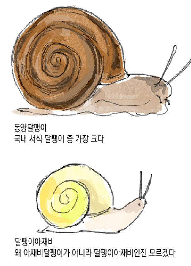 buseuleogi51146's tweet photo. 언젠가 완성할 것임 https://t.co/yKeq6ze8OO