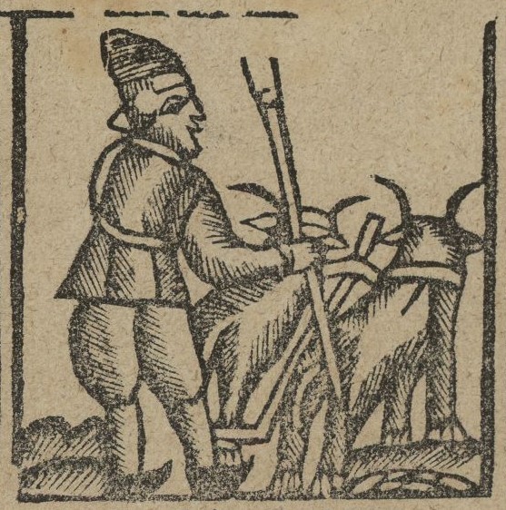 Refrany: Quan l’octubre és arribat sembra el sègol, l’ordi i el blat. 

#AmadesBTP Calendari de refranys (1933)